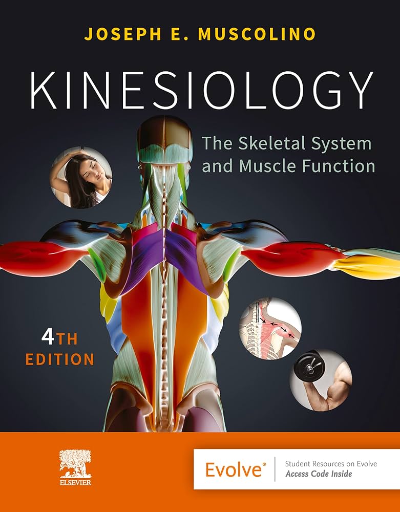 健康・医学 Applied Kinesiology Synopsis Applied Kinesiology: Synopsis book by David S. Walther